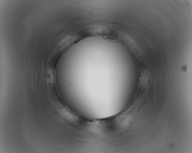 X0000094420430200711151324