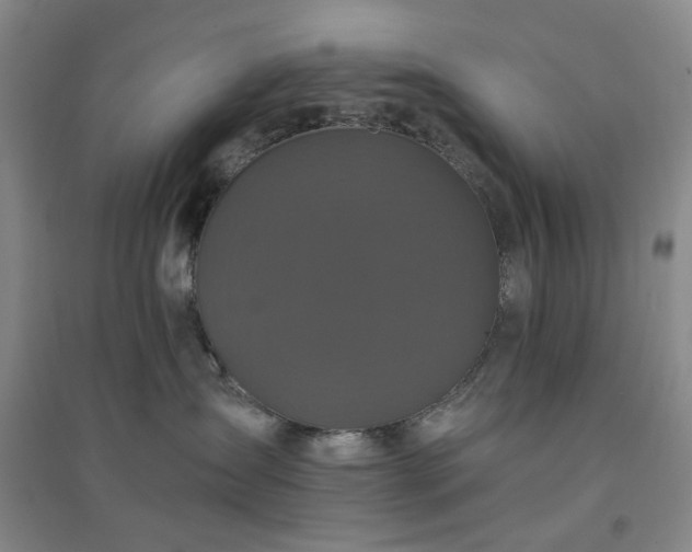 X0000094420431200711151324