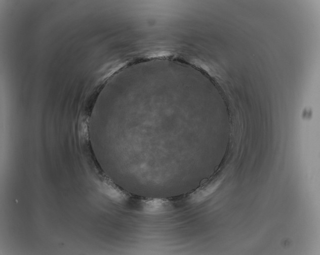 X0000094420432200711151324