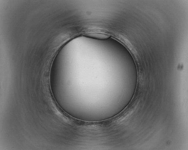 X0000094420433200711151324