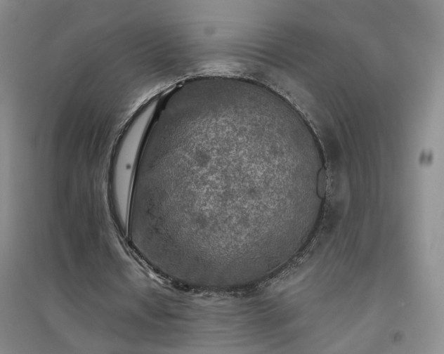 X0000094420434200711151324