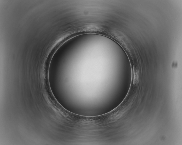 X0000094420435200711151324