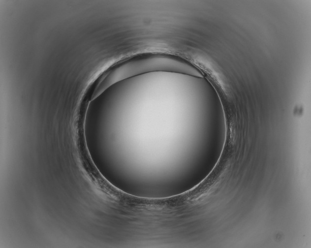 X0000094420436200711151324
