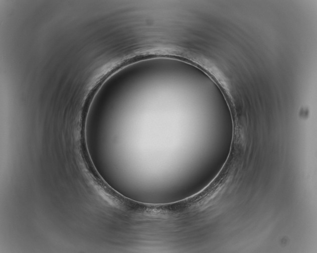 X0000094420437200711151324