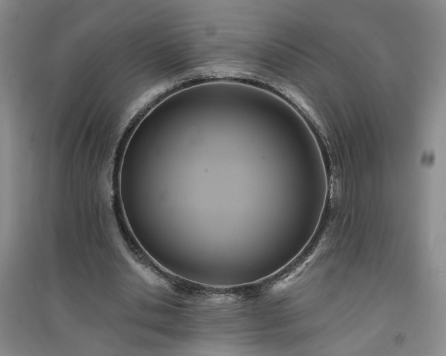 X0000094420438200711151324
