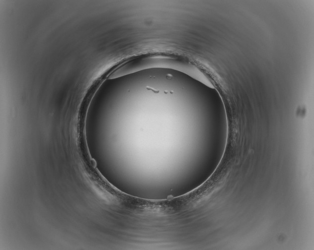 X0000094420439200711151324