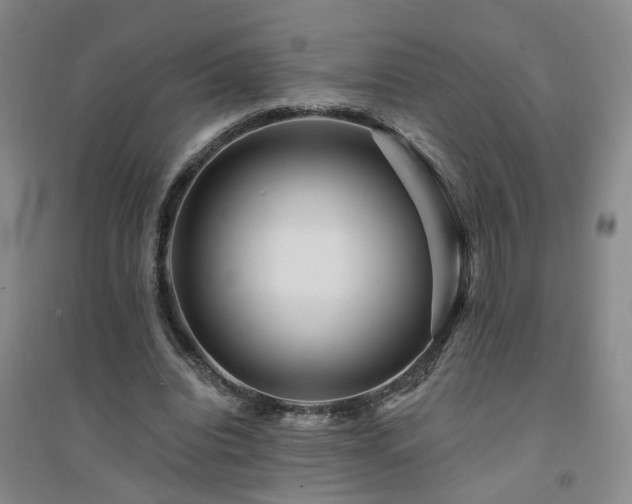 X0000094420440200711151324