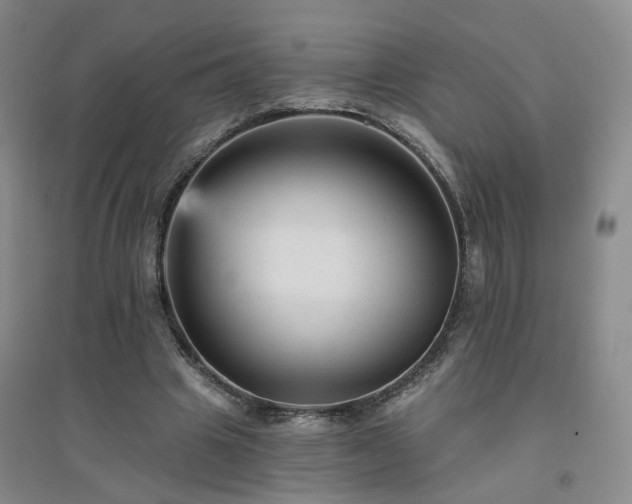 X0000094420441200711151324