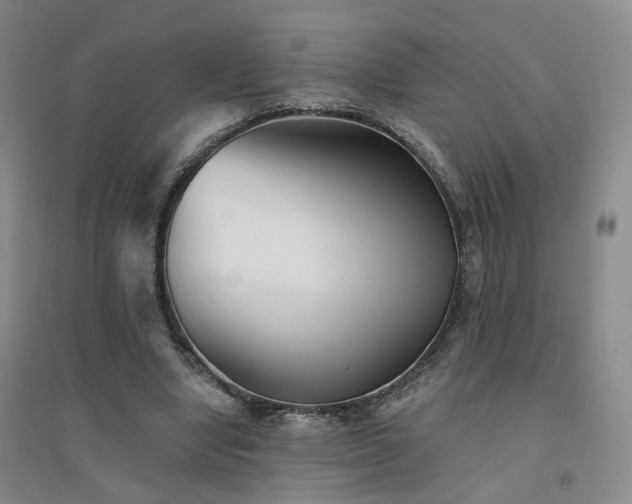 X0000094420442200711151324