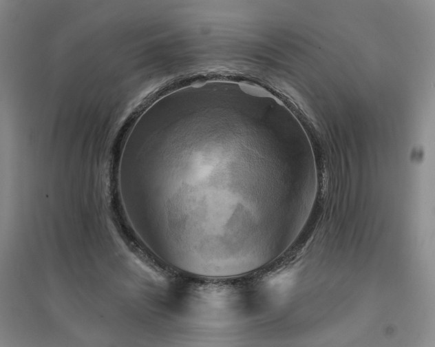 X0000094420444200711151324