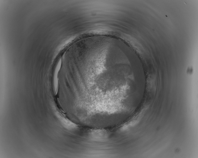 X0000094420446200711151324