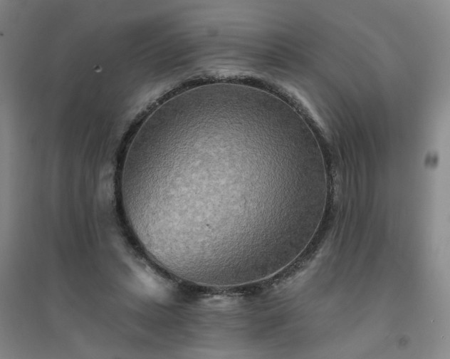 X0000094420447200711151324