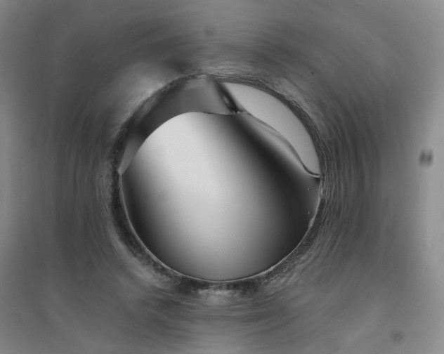 X0000094420448200711151324