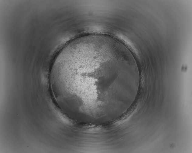 X0000094420449200711151324