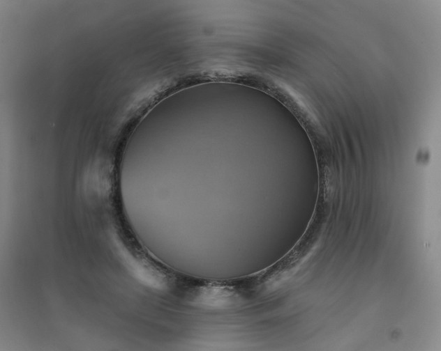 X0000094420451200711151324