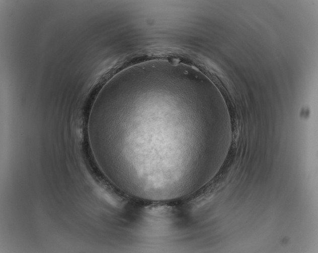 X0000094420452200711151324