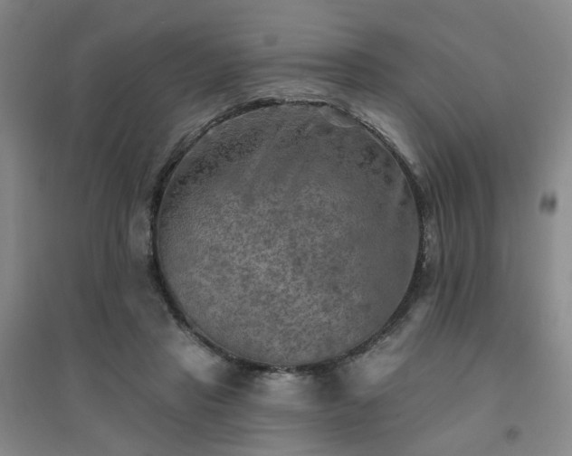 X0000094420453200711151324