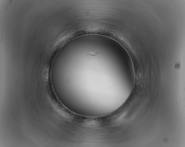 X0000094420454200711151324