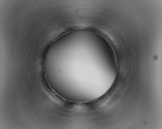 X0000094420455200711151324