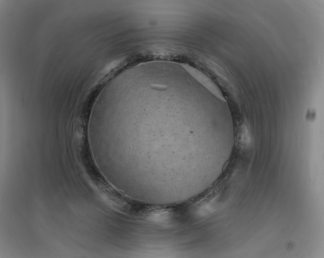 X0000094420456200711151324