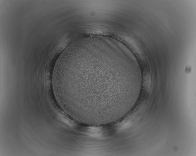 X0000094420457200711151324
