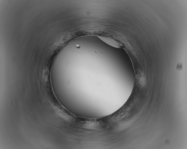 X0000094420458200711151324