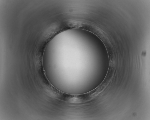 X0000094420460200711151324