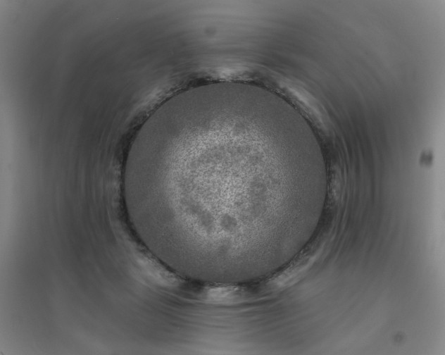 X0000094420461200711151324
