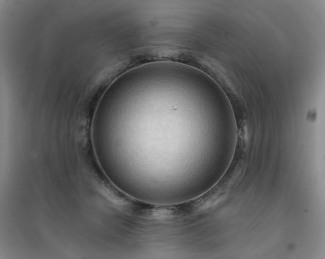 X0000094420462200711151324