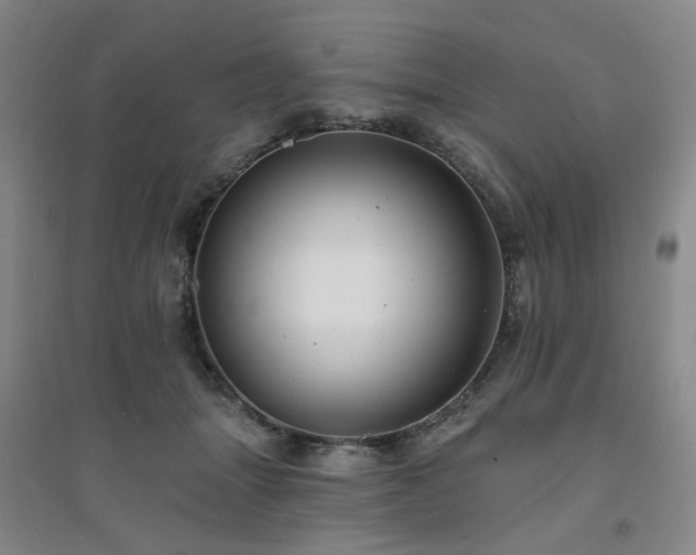 X0000094420463200711151324
