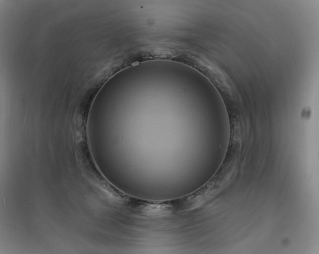 X0000094420465200711151324