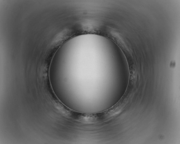 X0000094420466200711151324