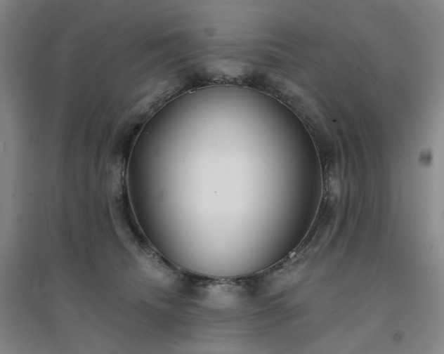 X0000094420468200711151324