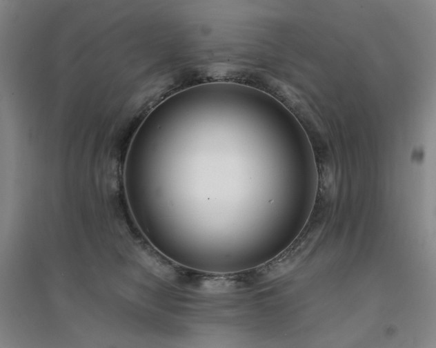 X0000094420470200711151324