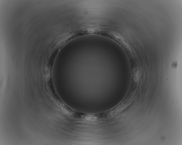 X0000094420471200711151324