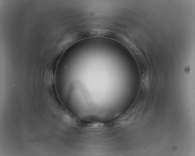 X0000094420474200711151324