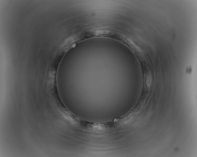 X0000094420475200711151324