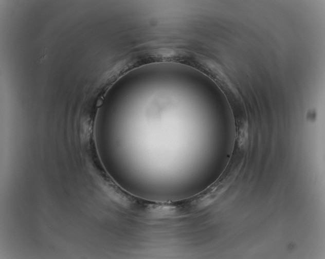 X0000094420476200711151324