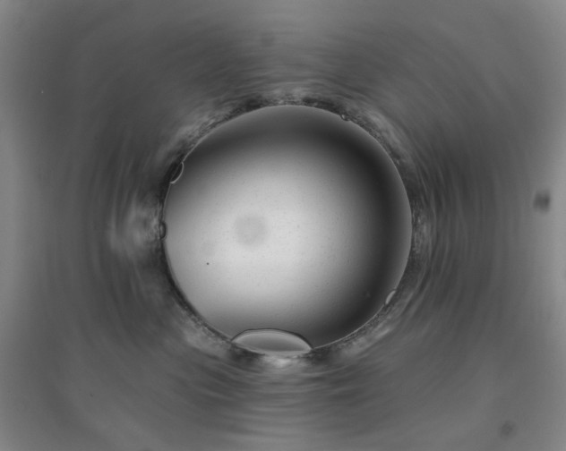 X0000094420477200711151324