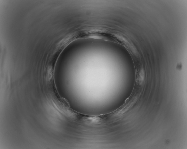 X0000094420478200711151324