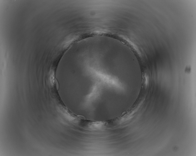 X0000094420479200711151324