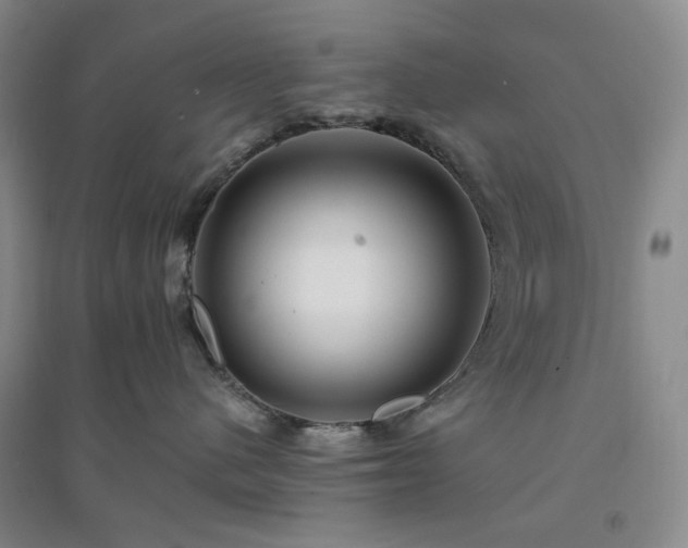 X0000094420480200711151324
