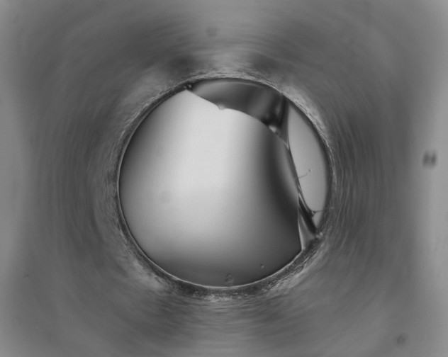 X0000094420481200711151324