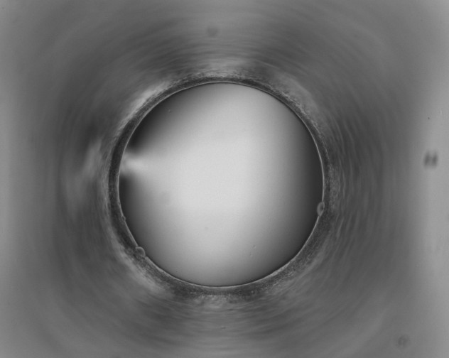 X0000094420482200711151324