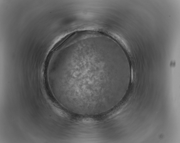 X0000094420483200711151324