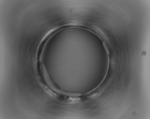 X0000094420484200711151324