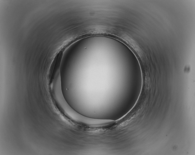 X0000094420485200711151324