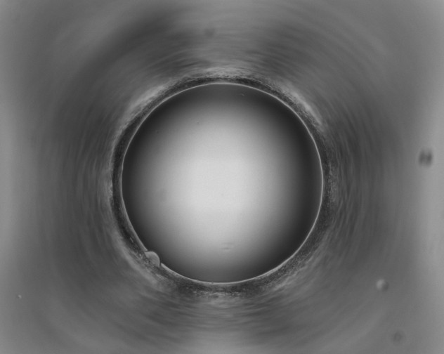 X0000094420486200711151324