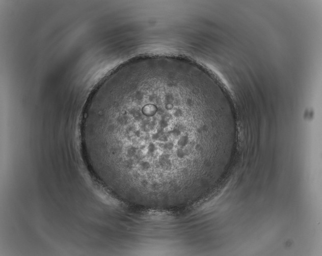 X0000094420487200711151324