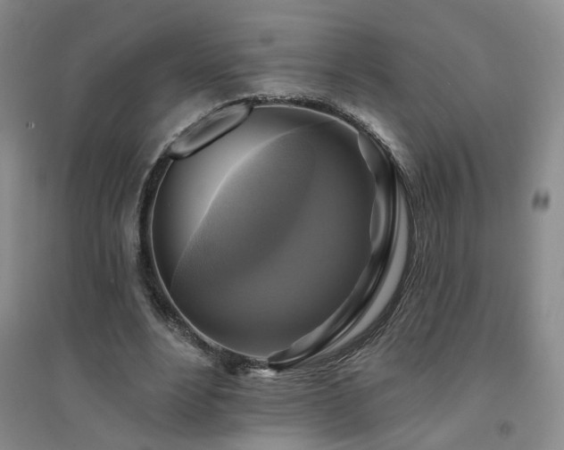 X0000094420488200711151324